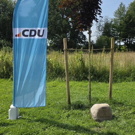 Größeres Bild ansehen