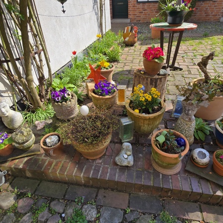 Größeres Bild ansehen