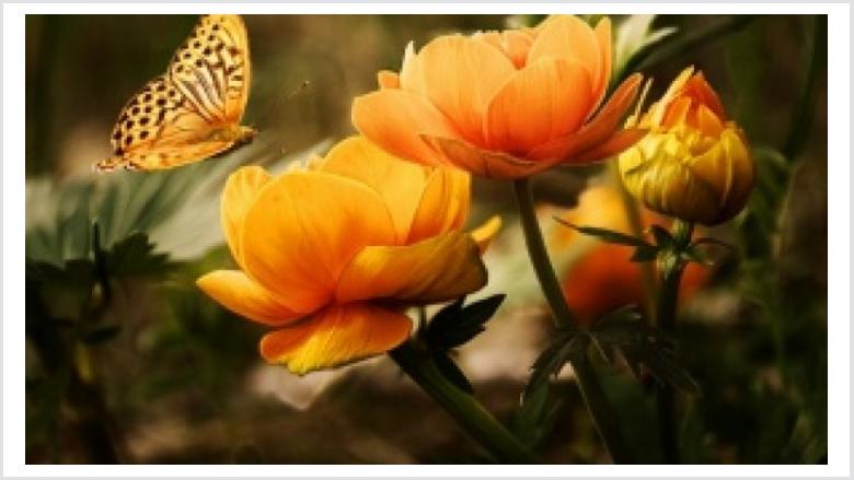SenU besucht das Arboretum in Ellerhoop